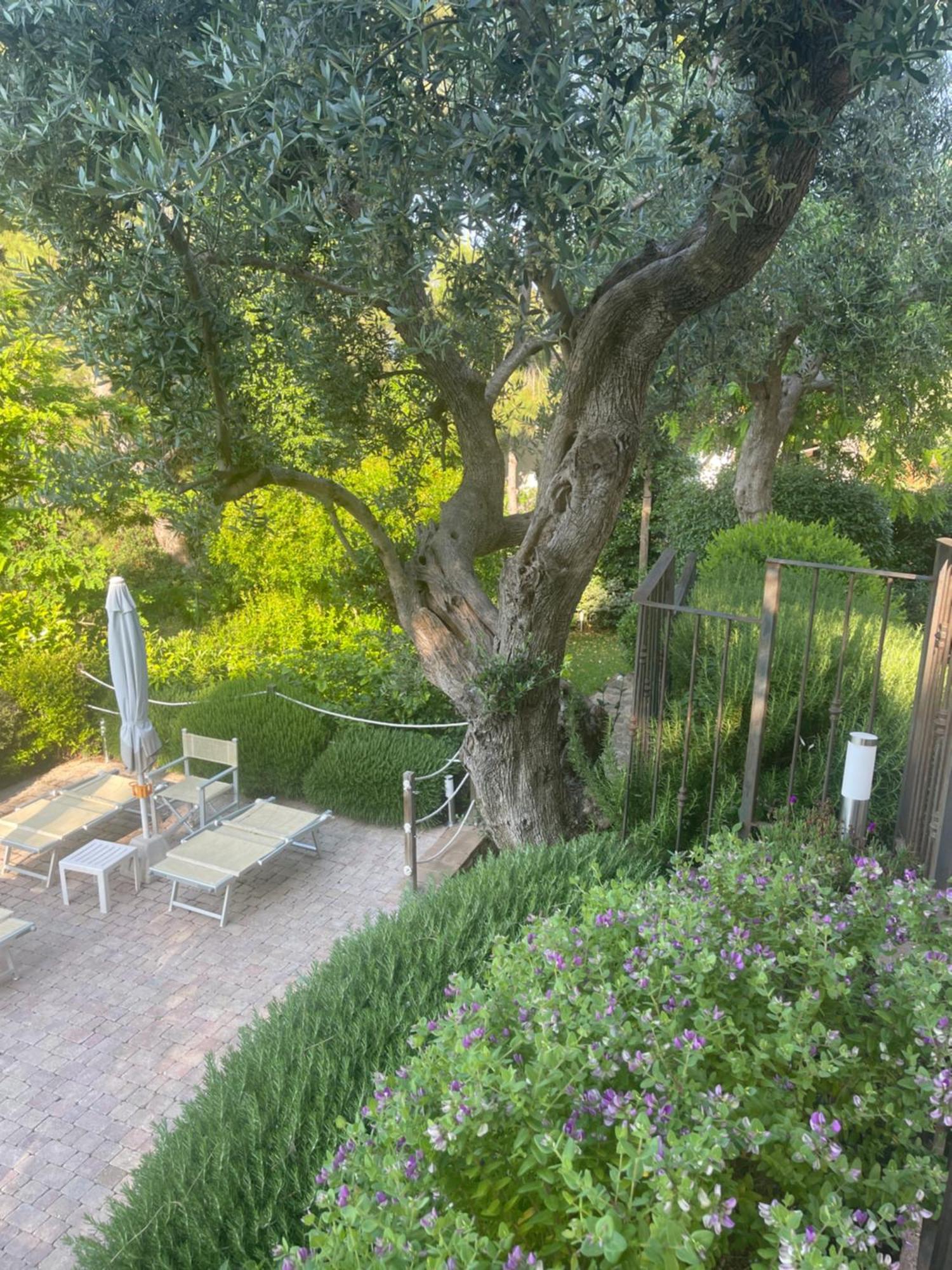 Amore A Prima Vista B&B Campiglia Marittima Extérieur photo